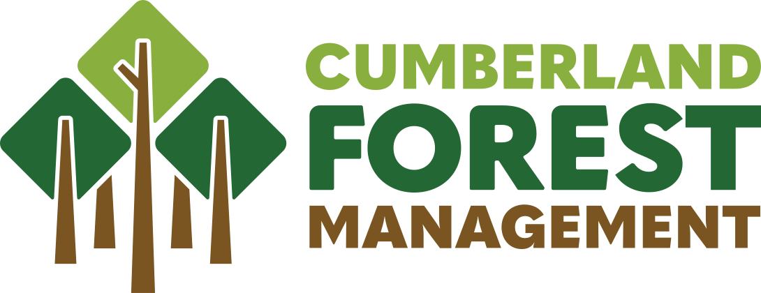 Cumberland Forest Management logo showing stylized trees