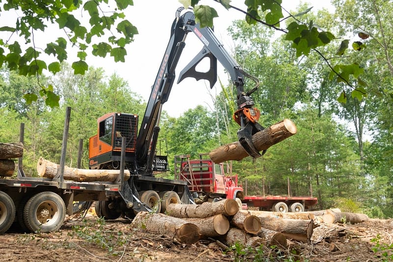 crane loading cut logs in a forest in the process of selling timber