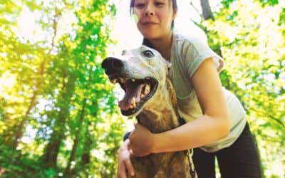What to know about dog bite liability in Kentucky 