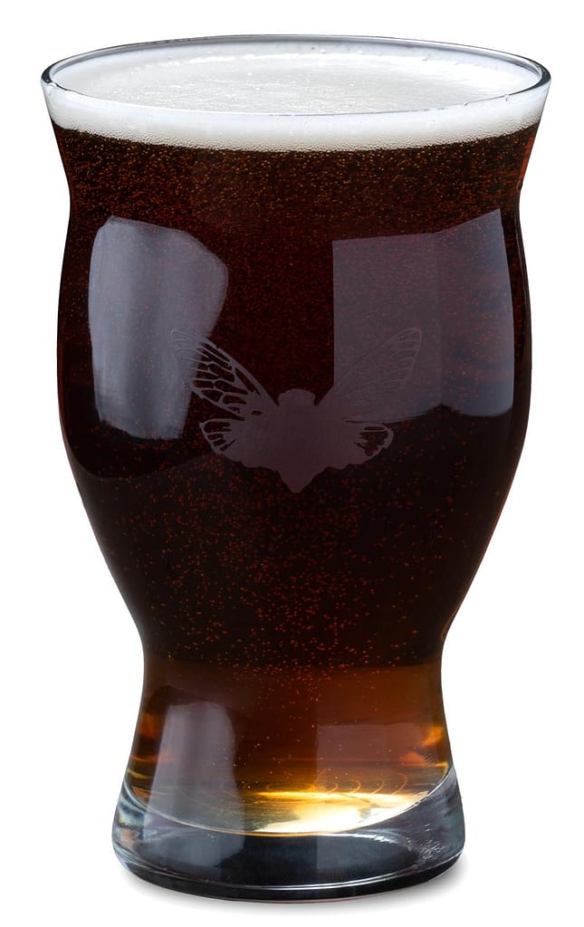 Baxter's Coffee Stout beer in a glass