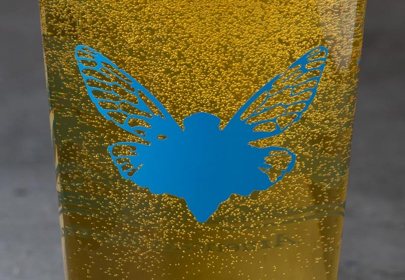 Detail of Jarfly beer glass.