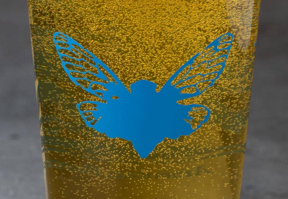 Detail of Jarfly beer glass.